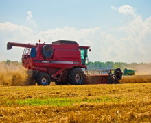 В «Астарті» очікують на врожайність пшениці 9 тонн/га